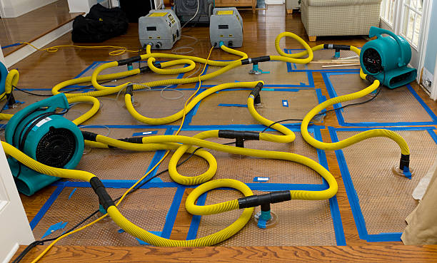 Professional Crawl Space Water Removal technician working in Mission, OR